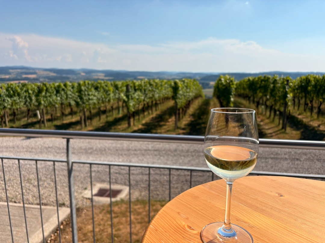 Weingut Hausammann-Uesslingen-Buch必去景点
