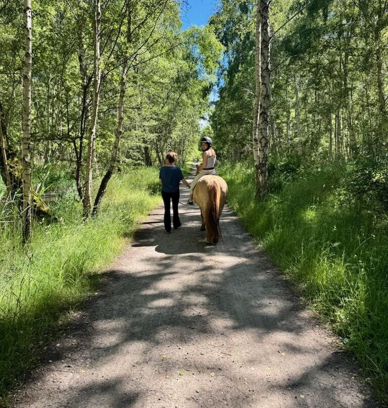 Amagervoksenridetur