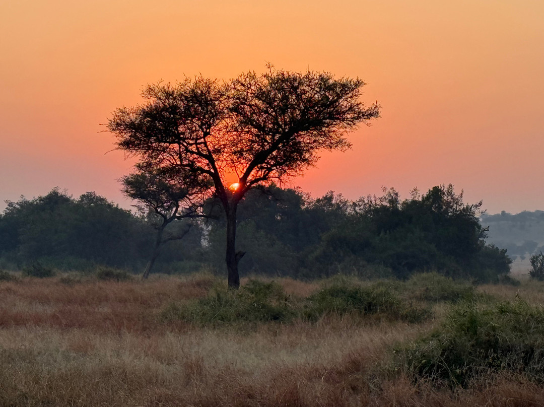 Zara Tanzania Adventures-莫西必去景点
