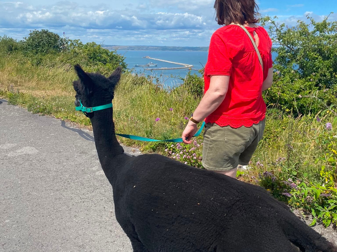 Portland Alpaca Trekking-Weston必去景点