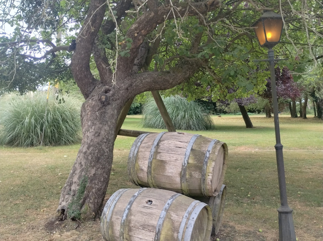 Stanlake Park Wine Estate-Twyford必去景点