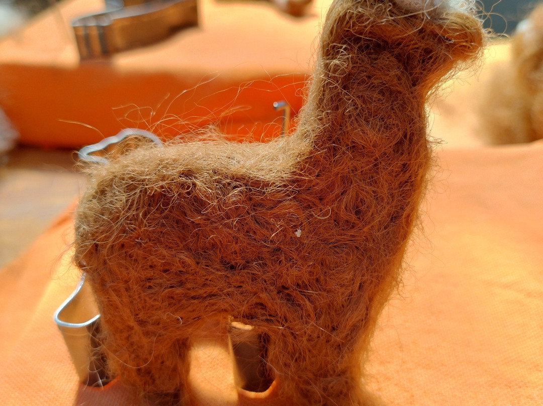 Lindway Springs Alpacas-Alfreton必去景点