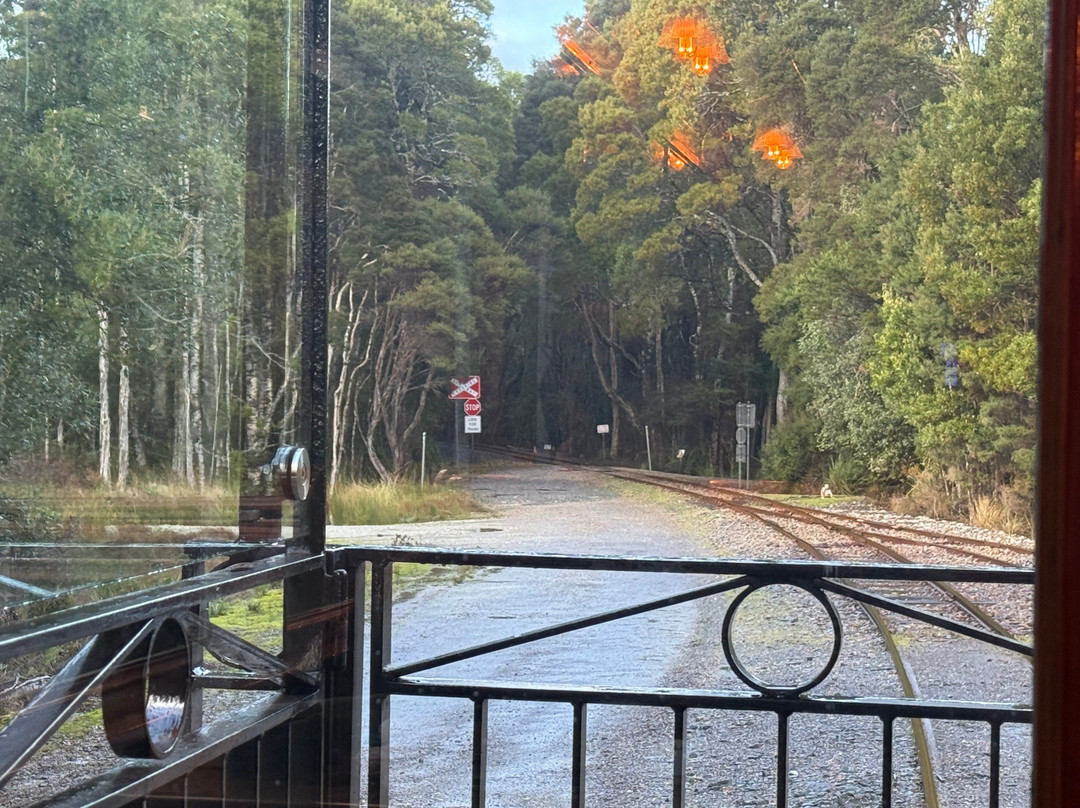 West Coast Wilderness Railway-皇后镇必去景点