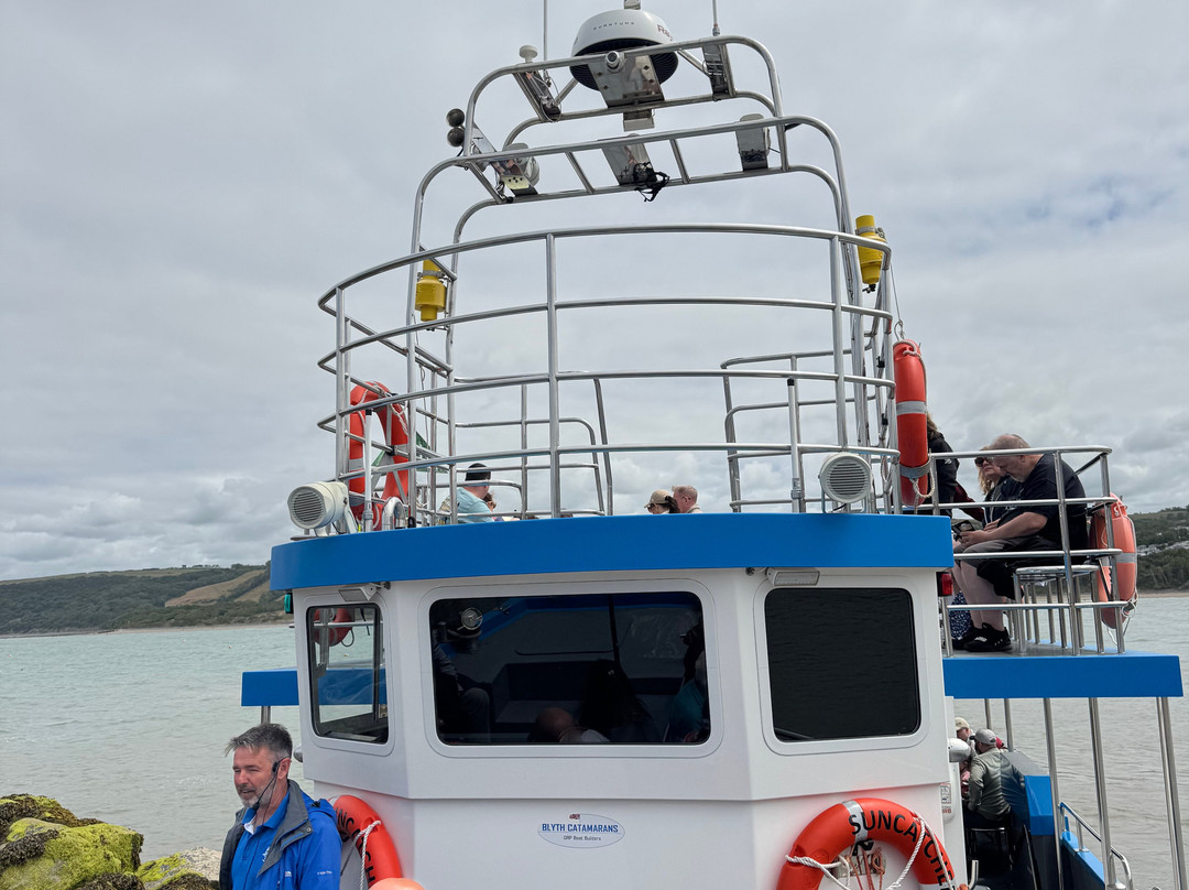 Dolphin Spotting Boat Trips (by New Quay Boat Trips)-纽基必去景点