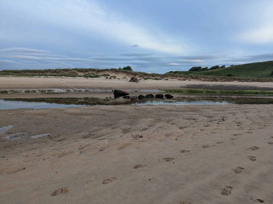 Alnmouth Beach-Alnmouth必去景点
