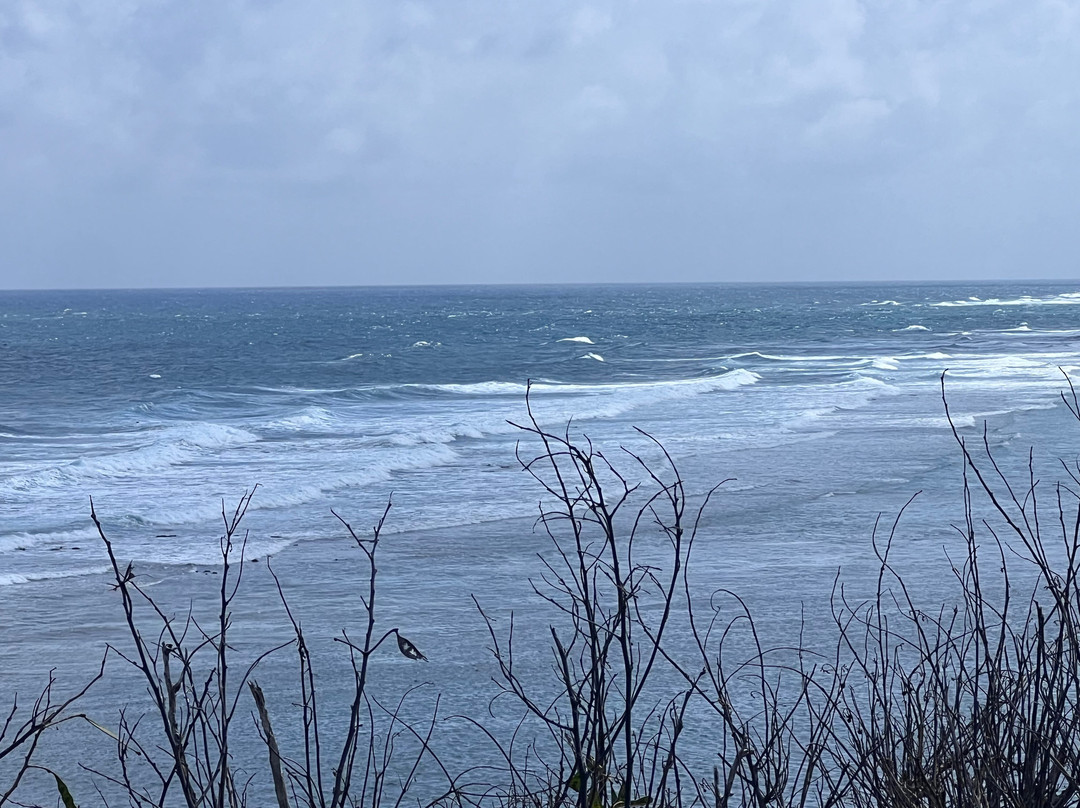 Shoy Beach-圣克鲁斯必去景点