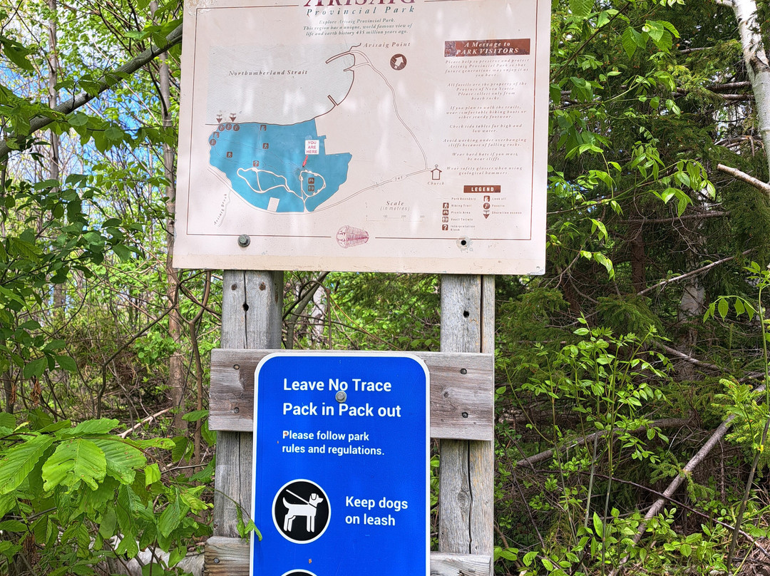 Arisaig Provincial Park-安蒂岗尼希必去景点