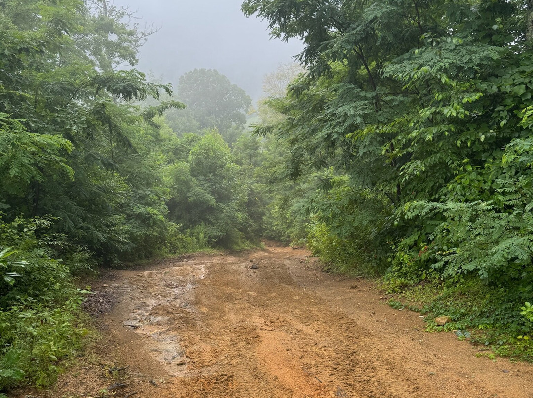 High Country UTV Tours-Roan Mountain必去景点
