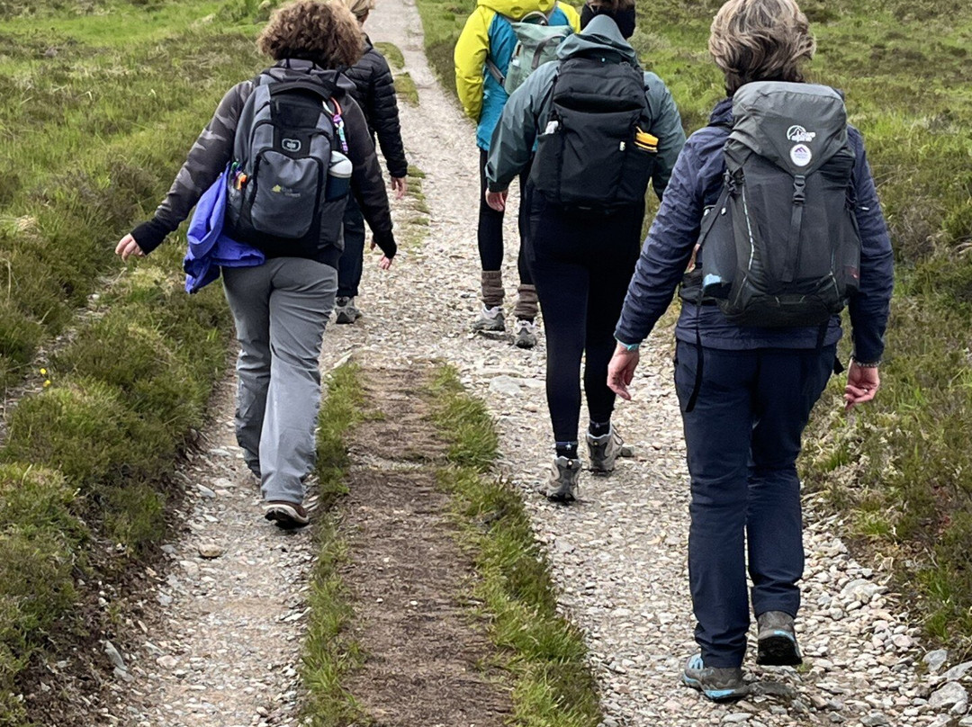 Joyce's Ireland Hiking Tours-Roundwood必去景点