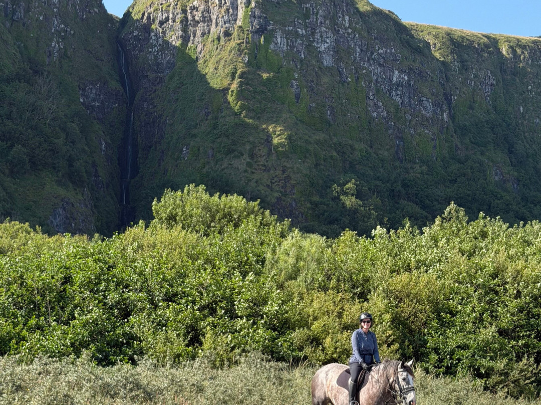 Bespoke Equestrian Ireland-都柏林必去景点