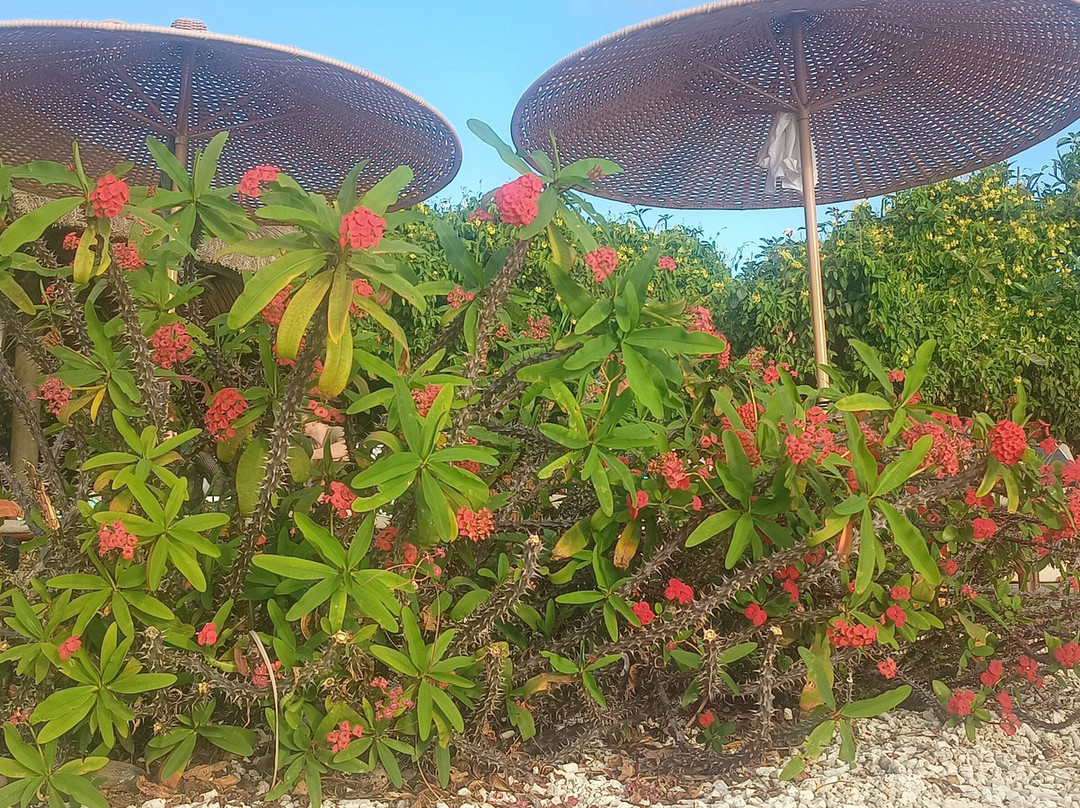 Paradise Cove Boutique Hotel,主图