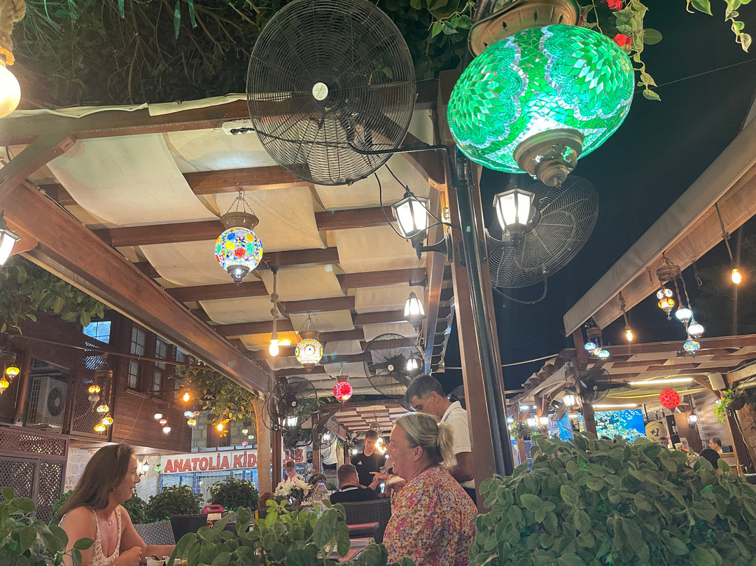 Anatolia Steak And Kebab House