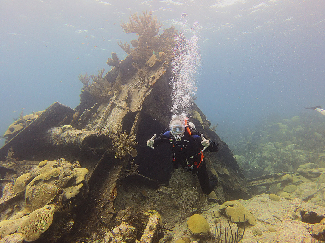 Blue Water Divers & Watersports-Sandys Parish必去景点