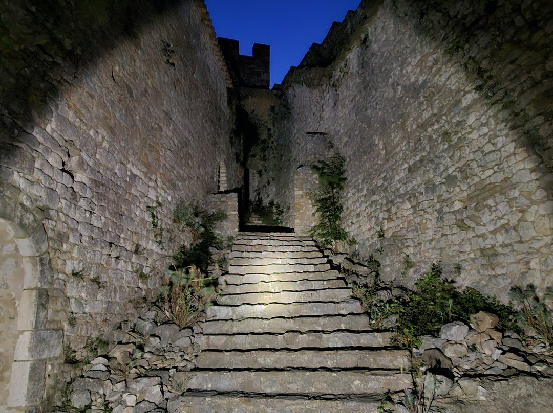 Château de Saint-Montan-Saint-Montan必去景点
