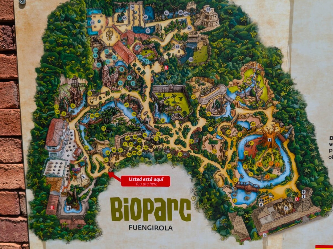 Bioparc Fuengirola-福恩吉罗拉必去景点