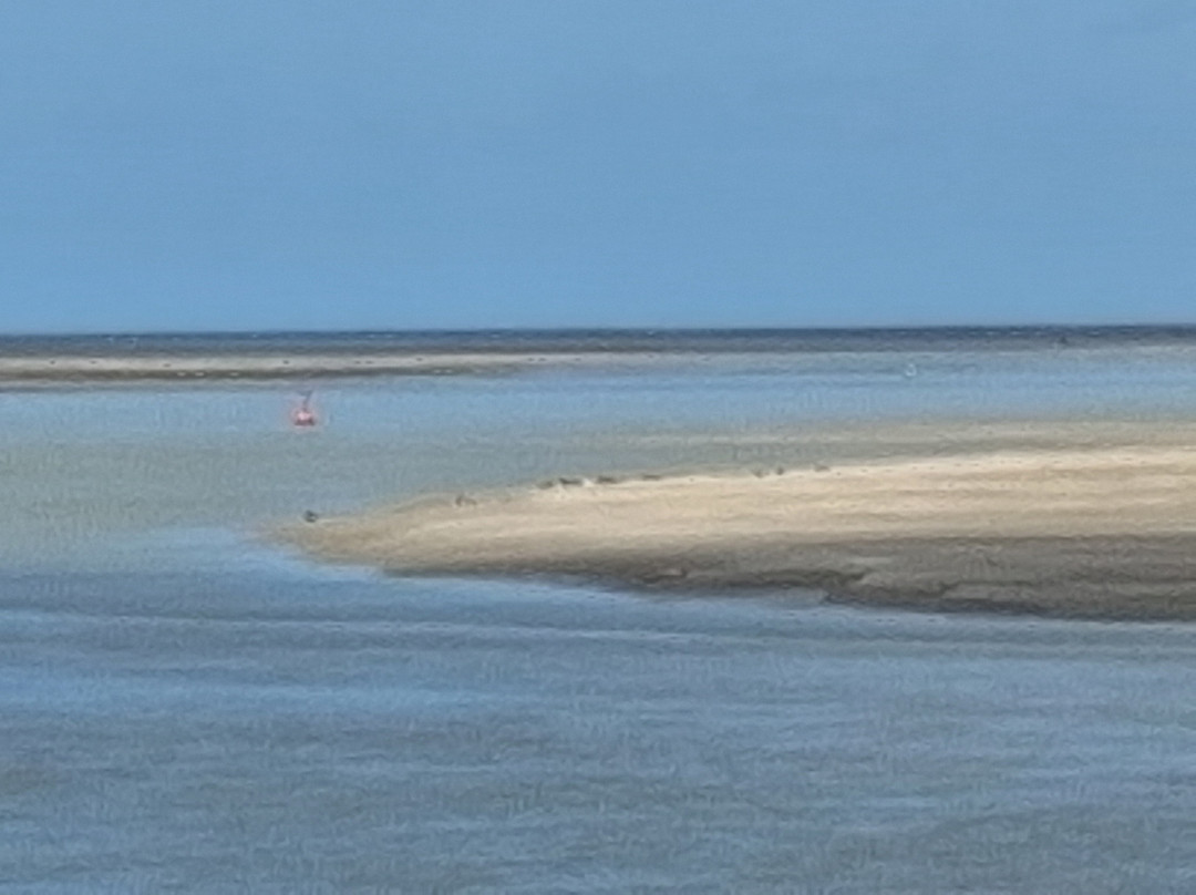 Le Hourdel-Cayeux-sur-Mer必去景点