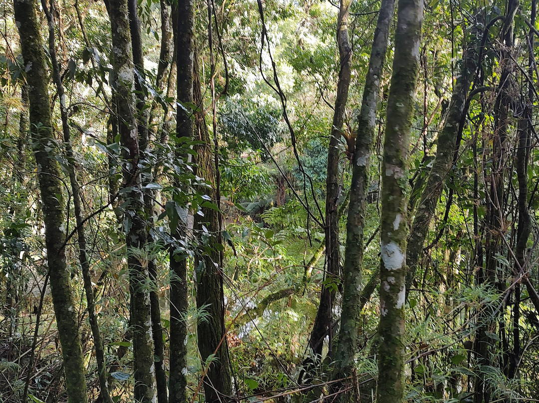 Trilha das Corredeiras do Itapuá-蒙特贝尔德必去景点