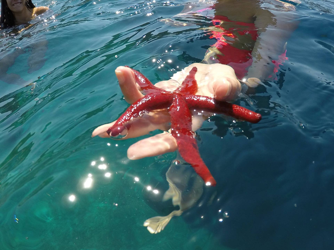 Stella Cruises