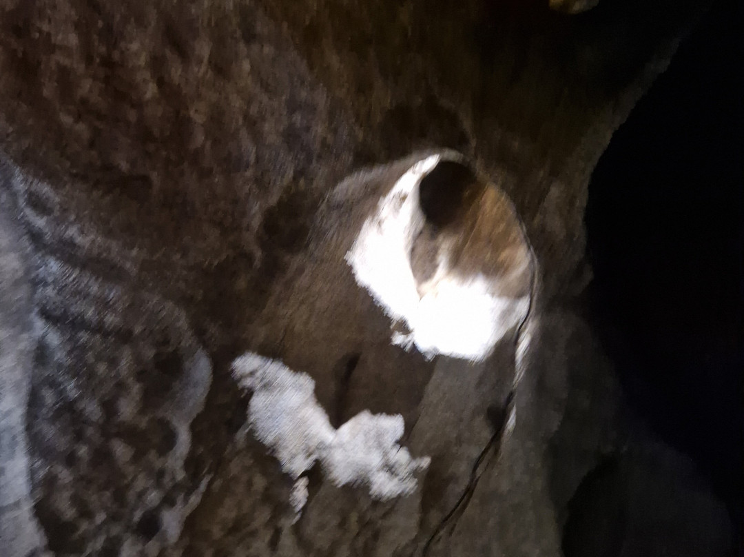 Marble Arch Caves-Florencecourt必去景点