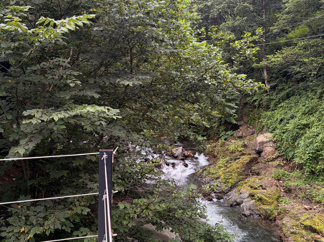Park Resort Mtirala-Chakvistavi必去景点