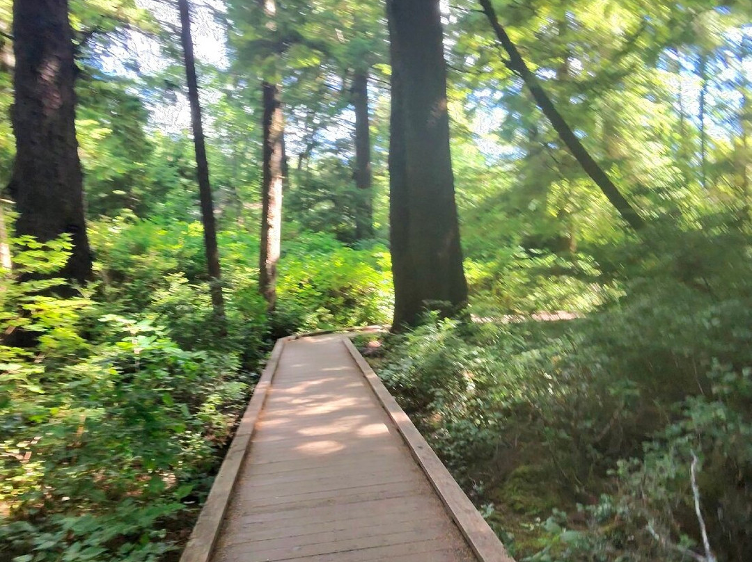 Rockaway Big Tree Trailhead-Rockaway Beach必去景点