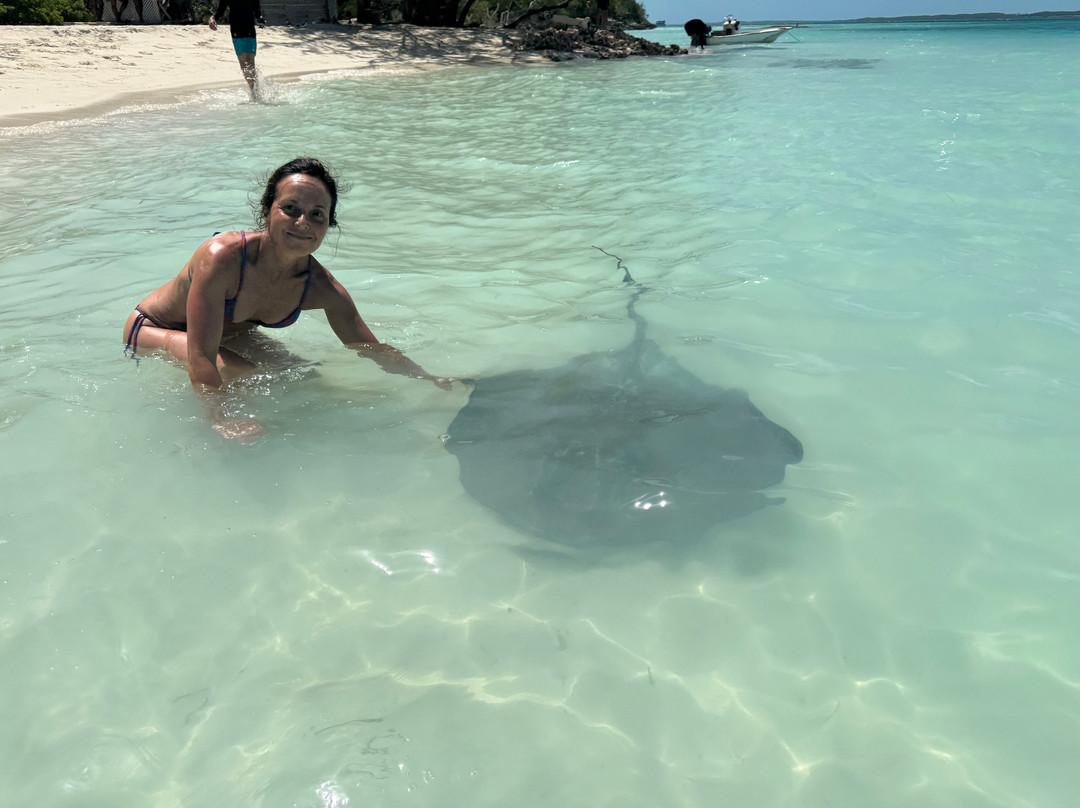 Turtles Nest Bahamas主图
