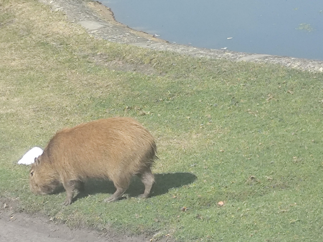 Serengeti-park Hodenhagen-Hodenhagen必去景点