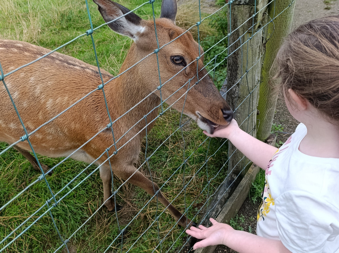 Lurgybrack Open Farm-County Donegal必去景点