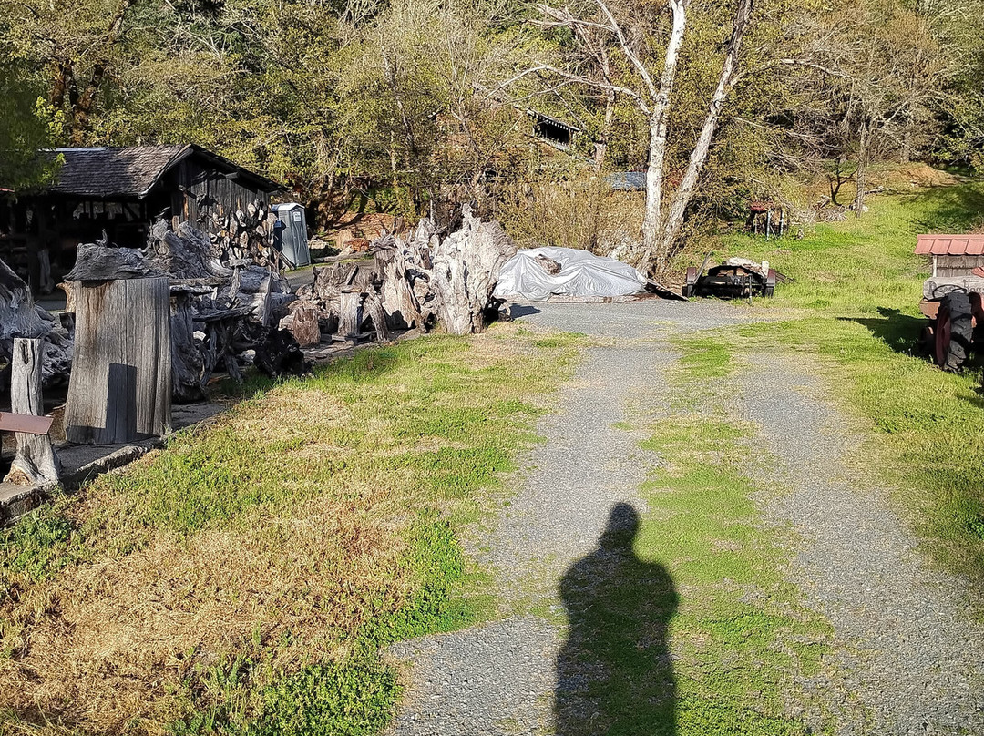 Its a Burl-Kerby必去景点