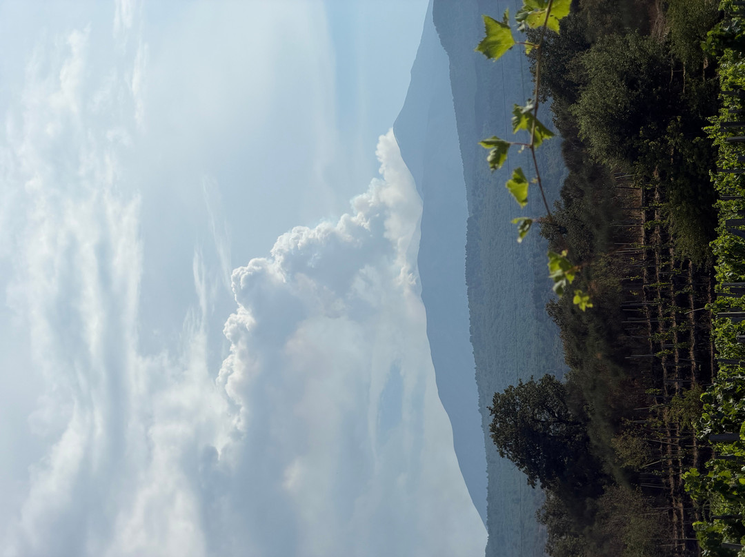 Casale 120 Winery-Rovittello必去景点