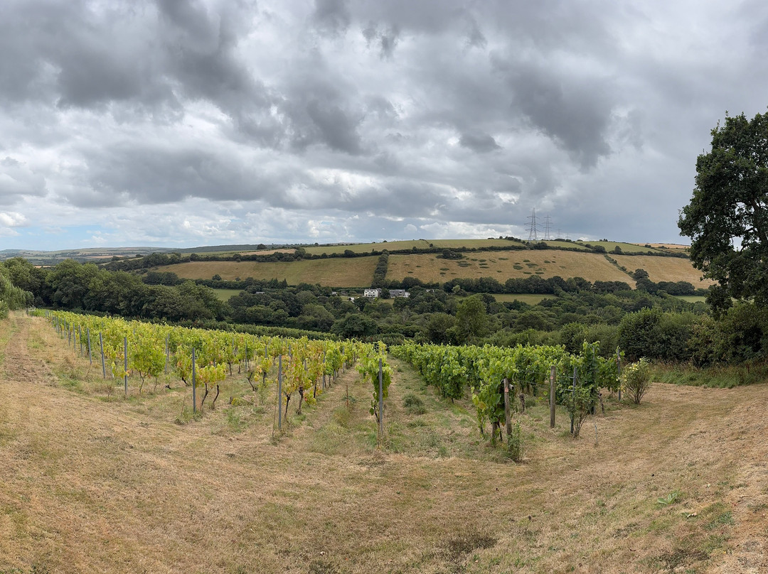 Camel Valley Vineyard-博德明必去景点