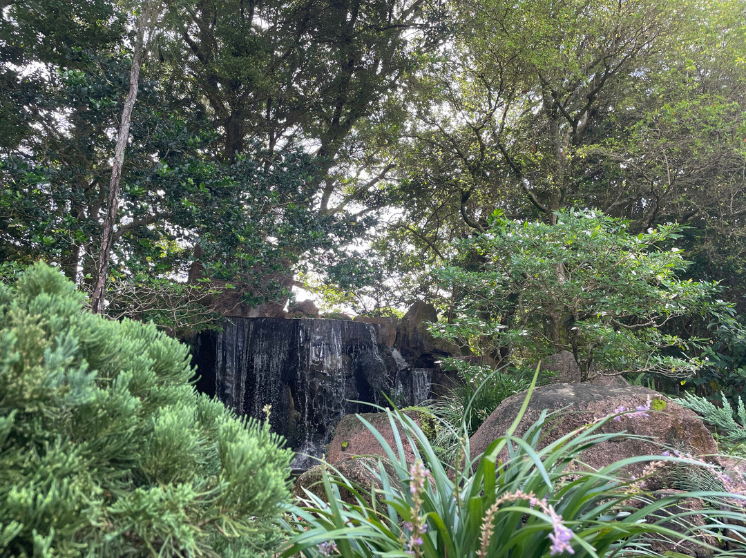 Morikami Museum & Japanese Gardens-德拉海滩必去景点
