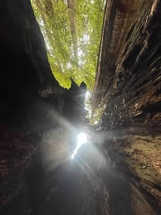 Trillium Falls Hike-Orick必去景点