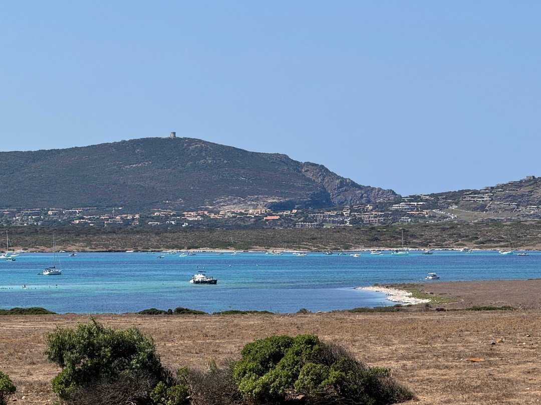 Asinara Charter Service-斯廷蒂诺必去景点