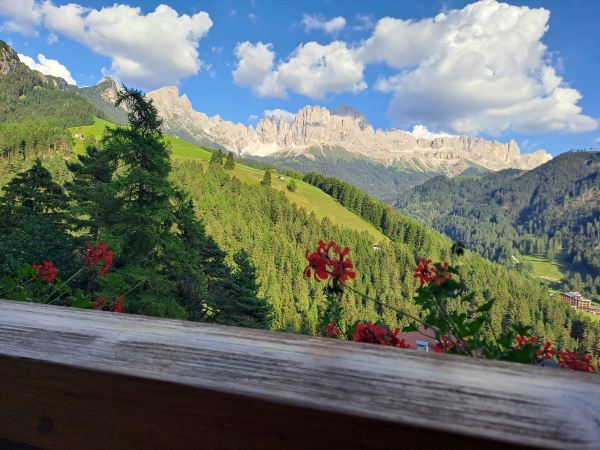 Alphotel Pension Panorama-旅行者