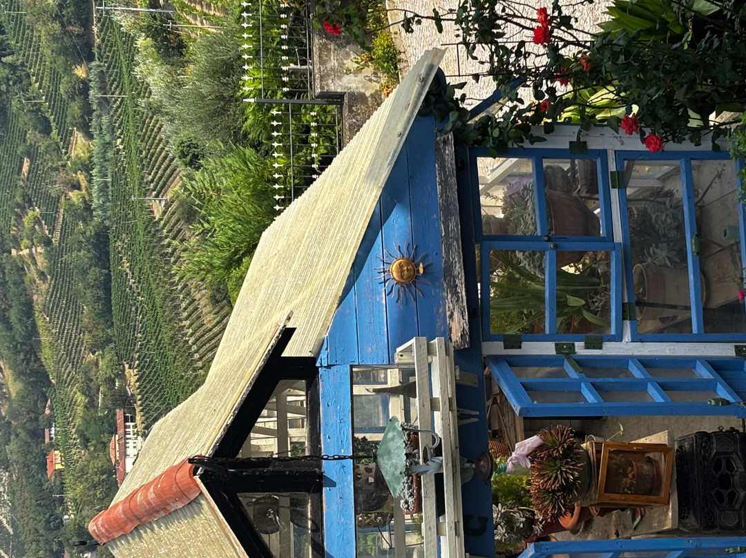 B&B Miellò Nelle Langhe主图