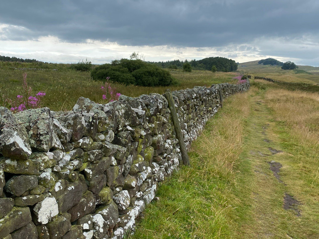Hadrian's Wall Path-Wallsend必去景点