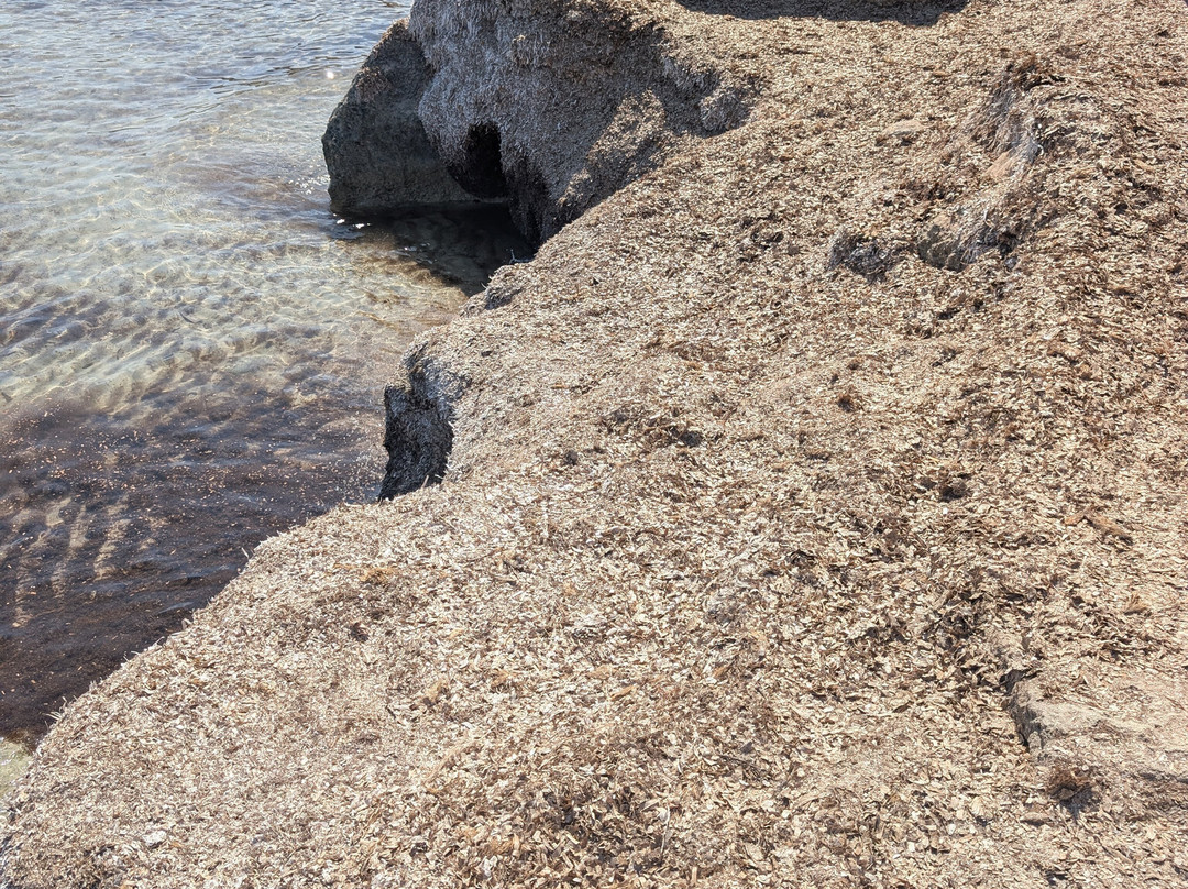 Scogliera Cala Azzurra-法维格纳纳必去景点