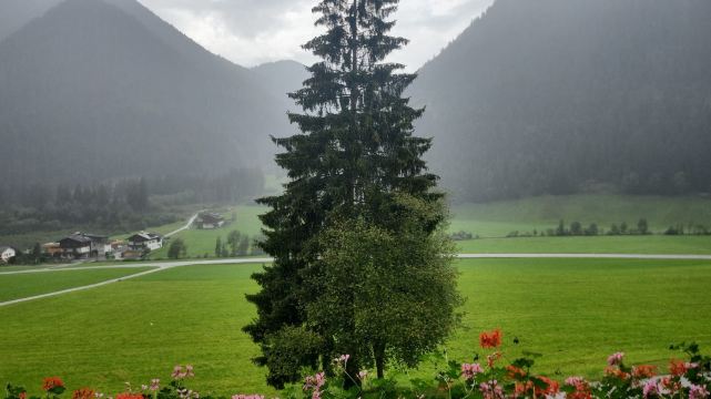 Hotel Waldruhe-旅行者