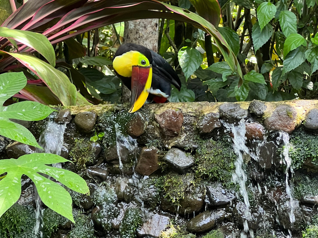 Sloths Paradise Rainforest-Bijagua de Upala必去景点