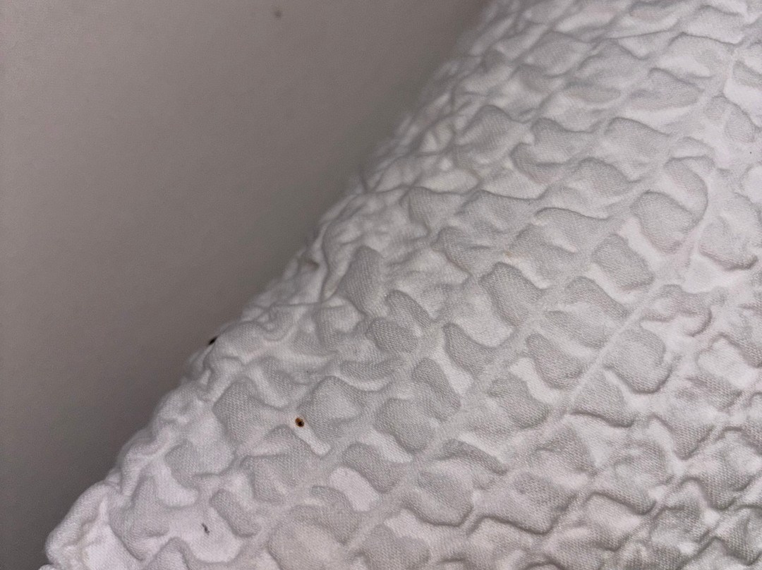 普瑞米尔翁弗勒尔经典酒店主图