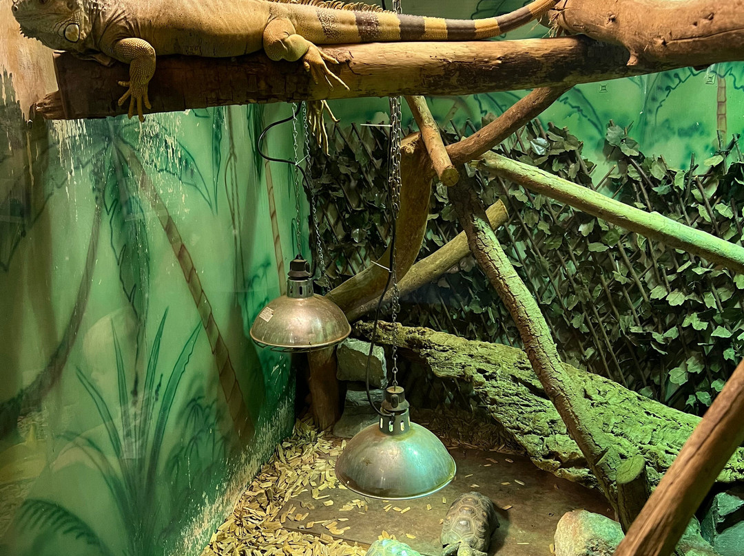Pettitts Animal Adventure Park-Reedham必去景点