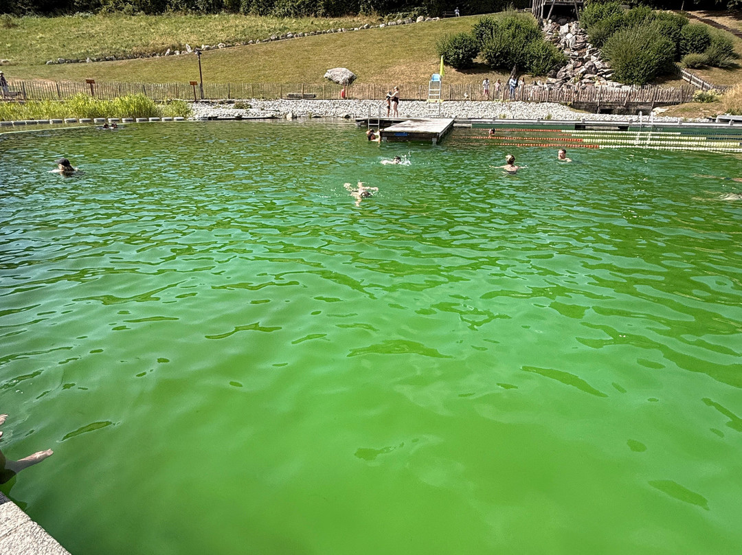 Combloux Ecological Moutain Lake-Combloux必去景点