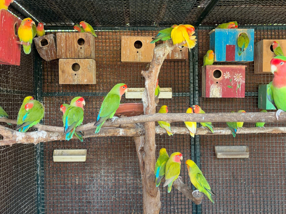 Bioparco Di Sicilia-Carini必去景点