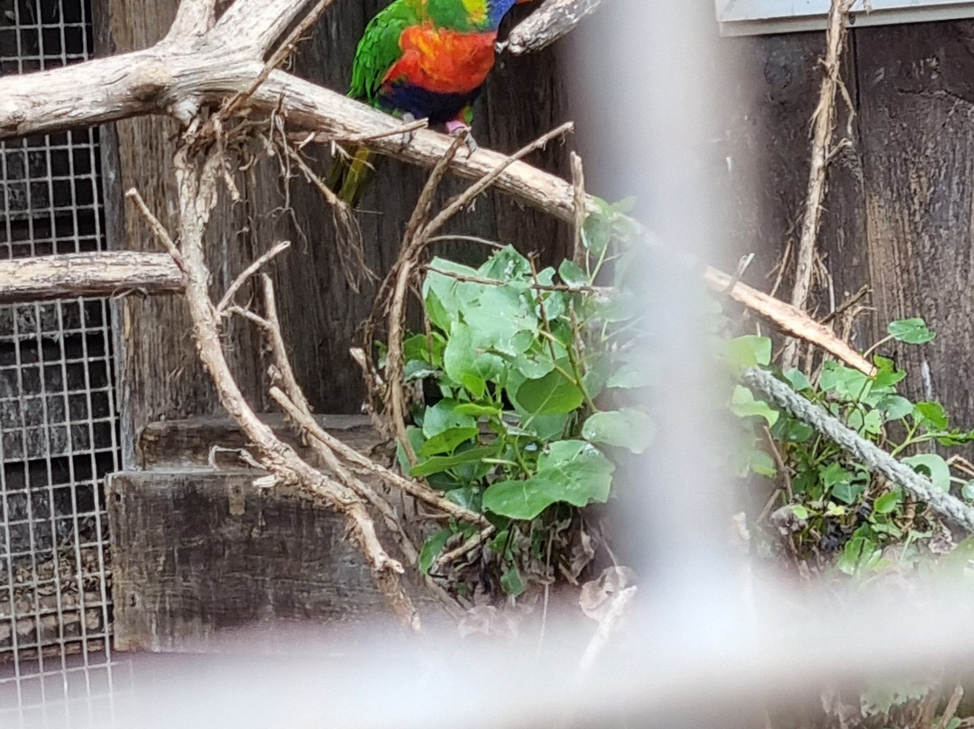 Filey Zoo-Filey必去景点