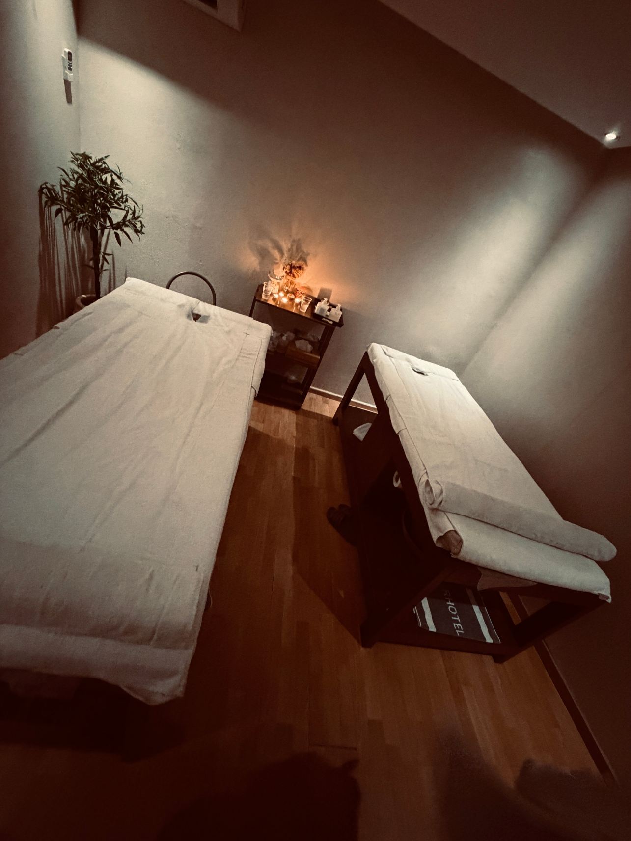 卡里普索海滩酒店-旅行者