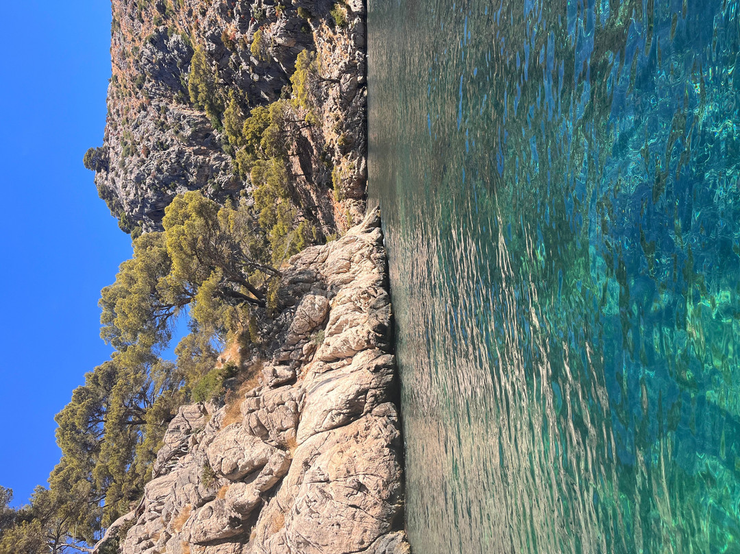 La Cala Boat Tours-Cala Sant Vicenc必去景点