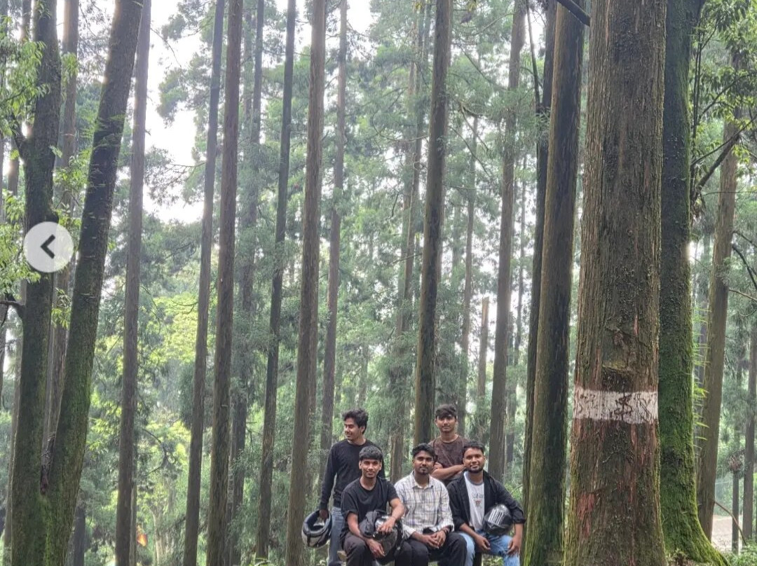 Dow Hill-大吉岭必去景点