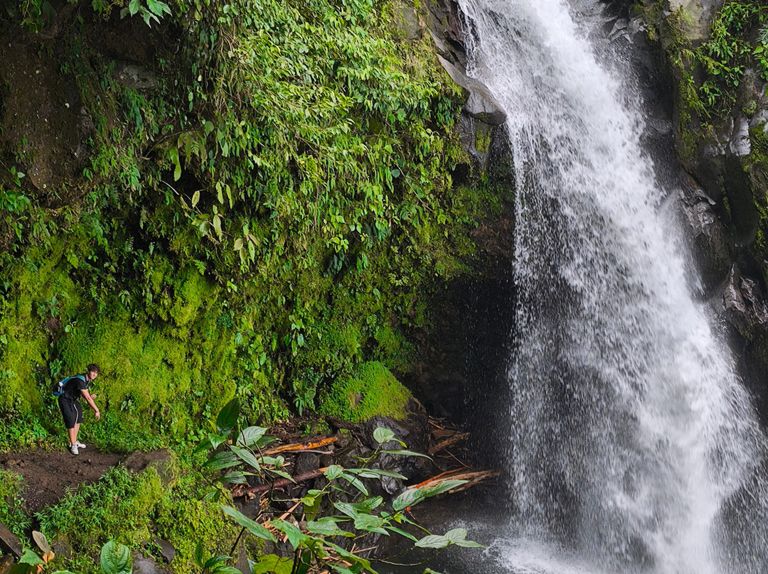 Deepgreen Eco tours-Naranjo必去景点