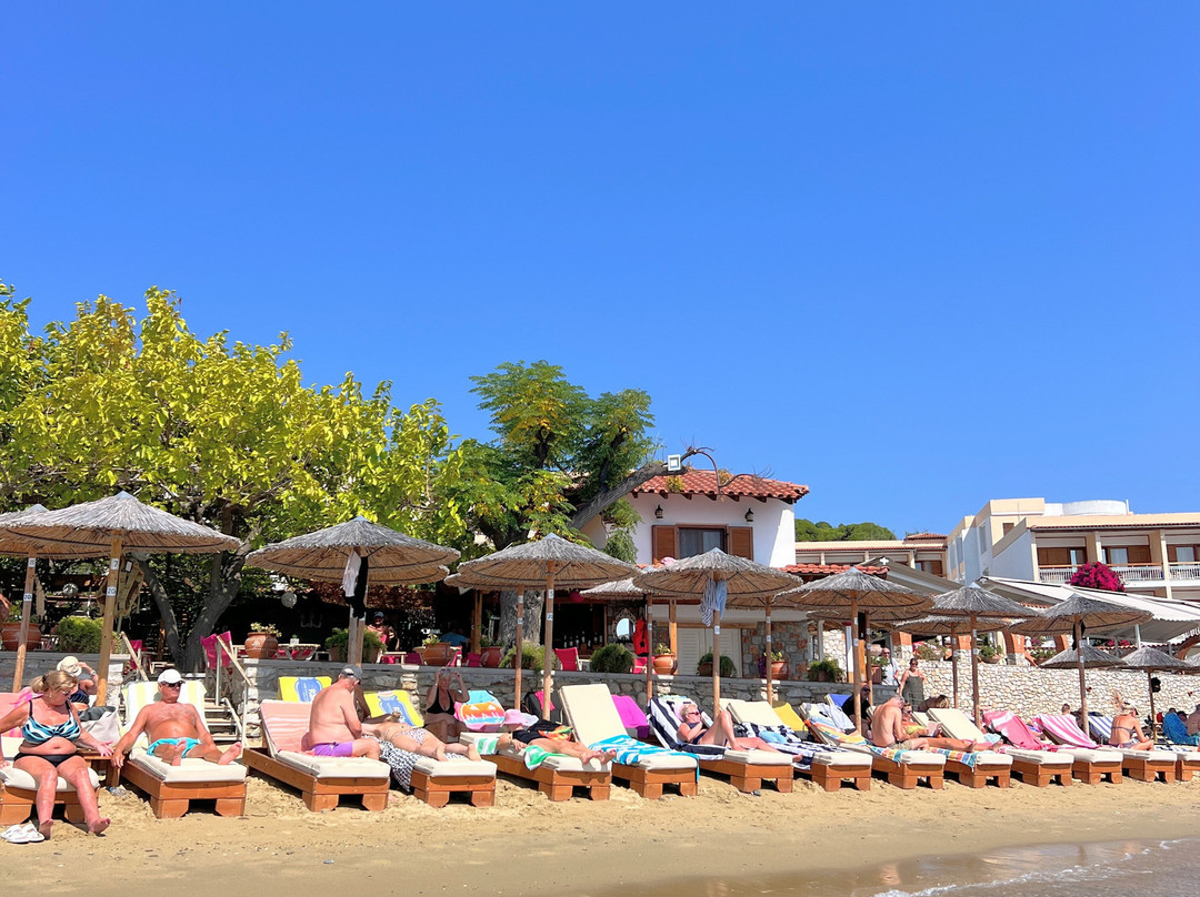 Mojo Bar by the Sea-Skiathos Town必去景点
